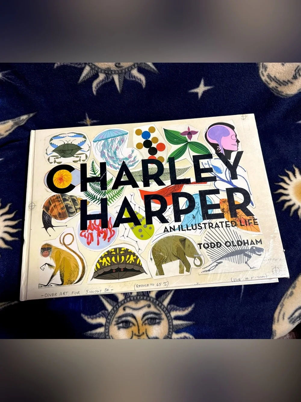 Charley Harper An Illustrated Life Todd Oldham Giant Art Book Biology Nature